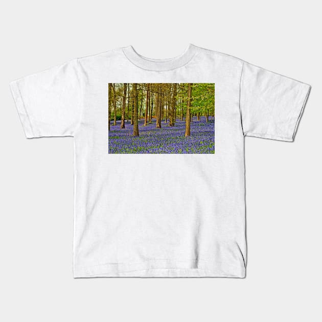 Bluebell Woods Greys Court Oxfordshire UK Kids T-Shirt by AndyEvansPhotos